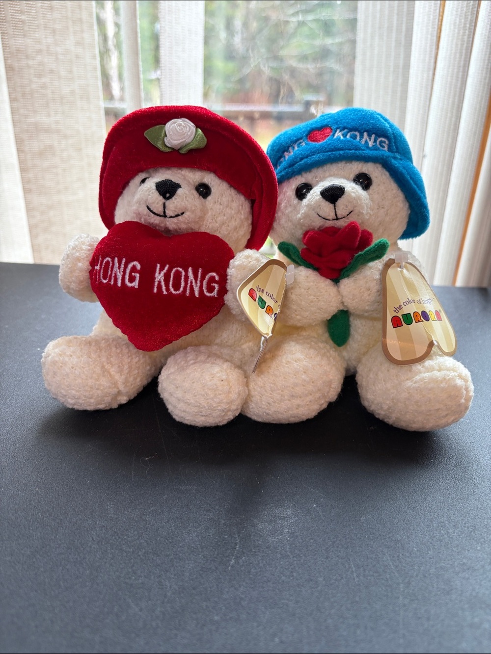 Aurora The Color of Hugs Couple Sweet Heart Bear in Bag